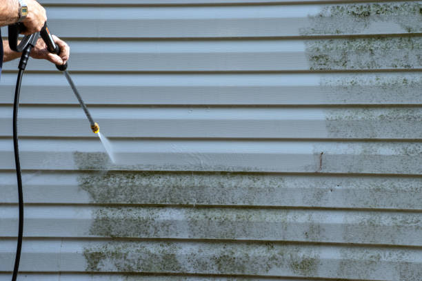 Best Storm Damage Siding Repair  in Stem, NC