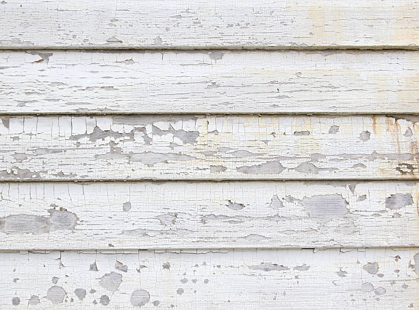 Best Insulated Siding Installation  in Stem, NC