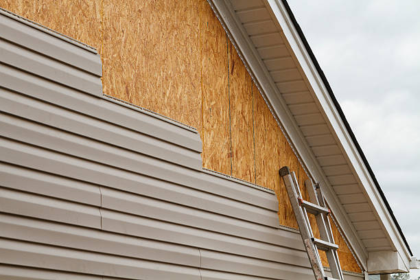 Best Custom Siding Design  in Stem, NC